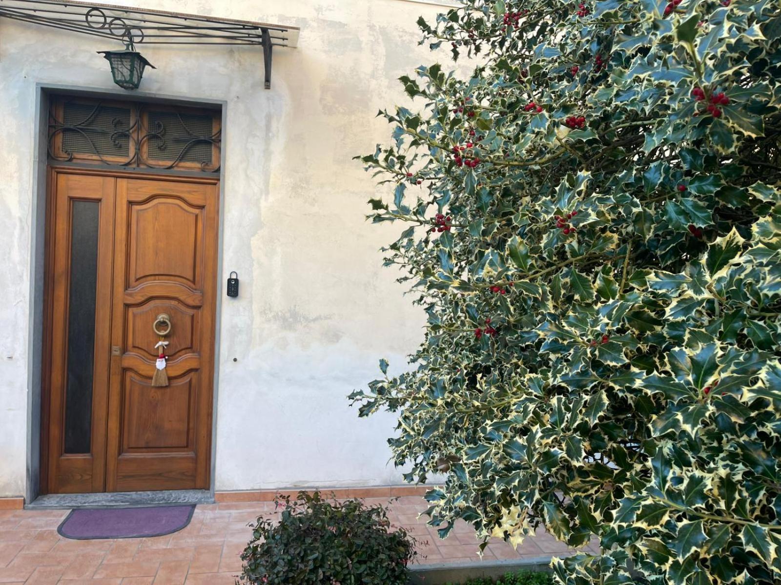Violet - La Casa Del Pucci *