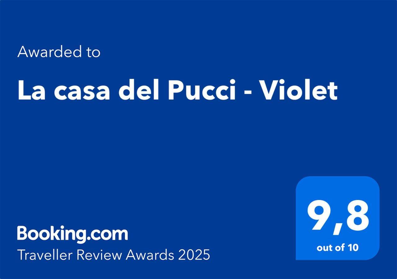 Violet - La Casa Del Pucci *